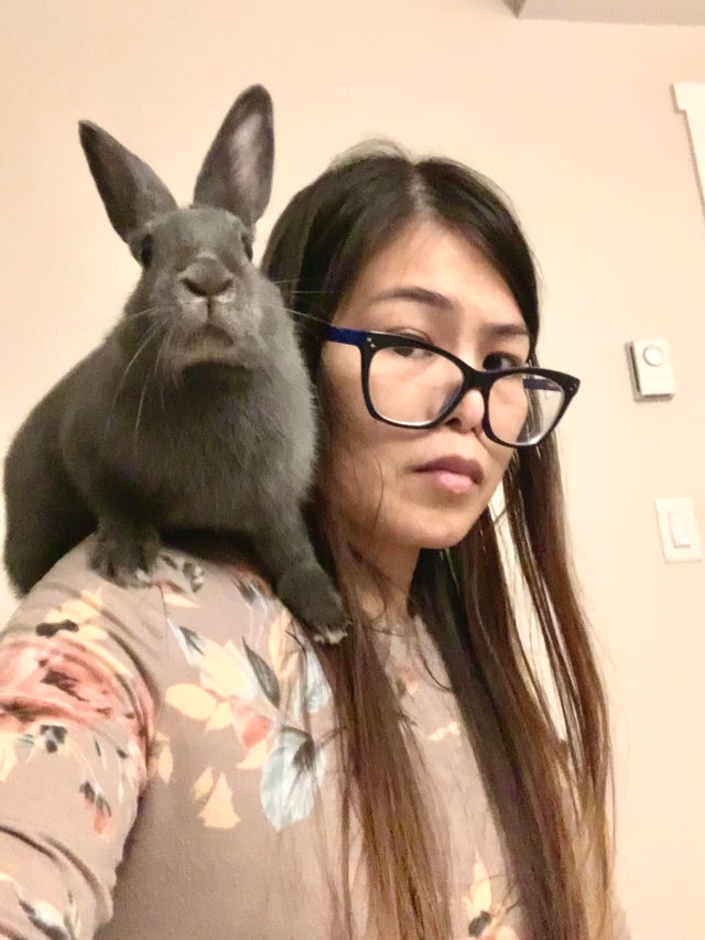 19 Shining Examples of Shoulder Pets (The Internet's New Aww-dorable Photo  Trend) | Cuteness