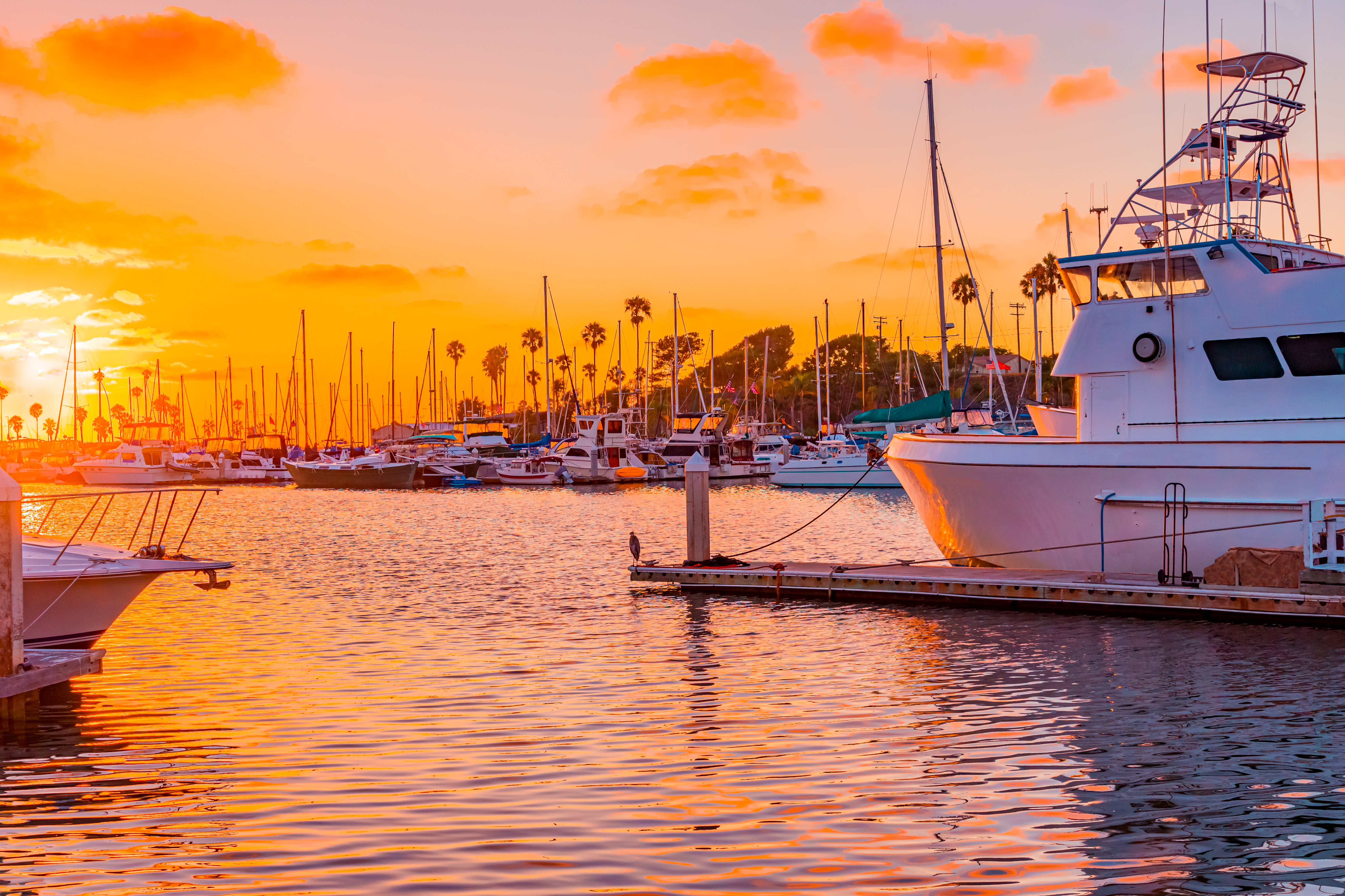 Hotels on the Beach or Across From the Beach in Carlsbad, California