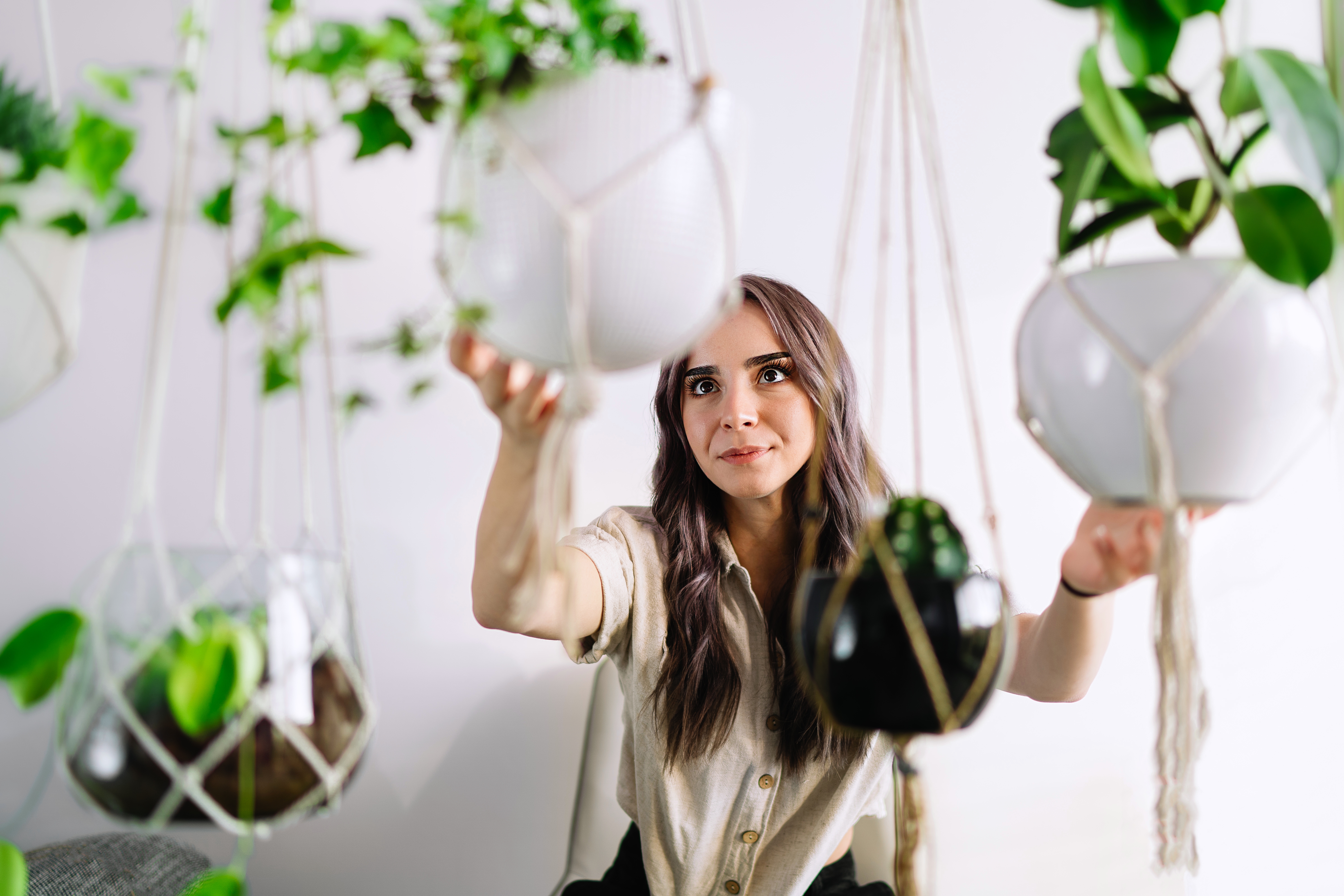 How To Nurse A Dying Ivy Plant Back To Life Hunker