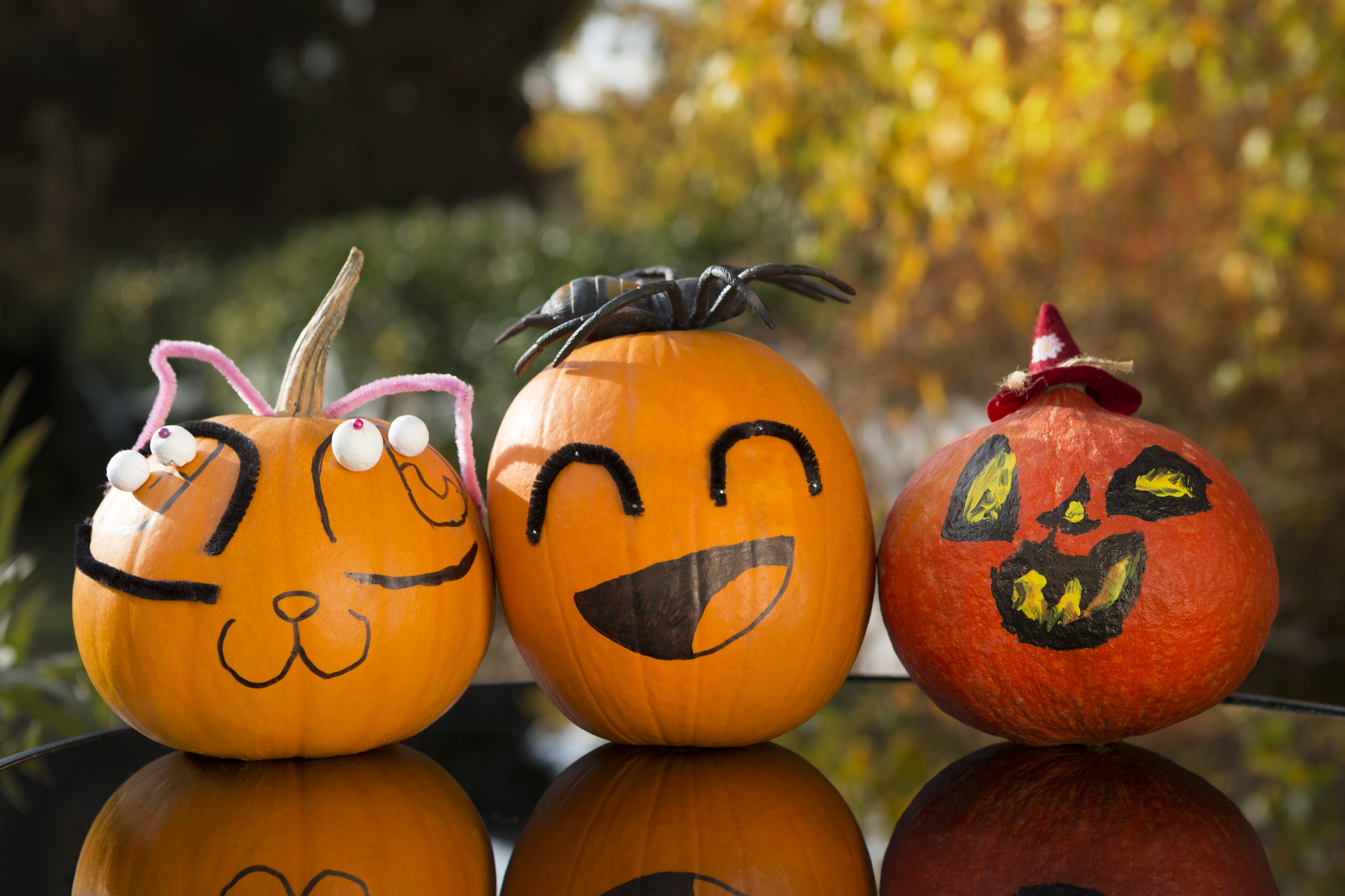 How to Paint Cute Pumpkin Faces on Pumpkins | eHow