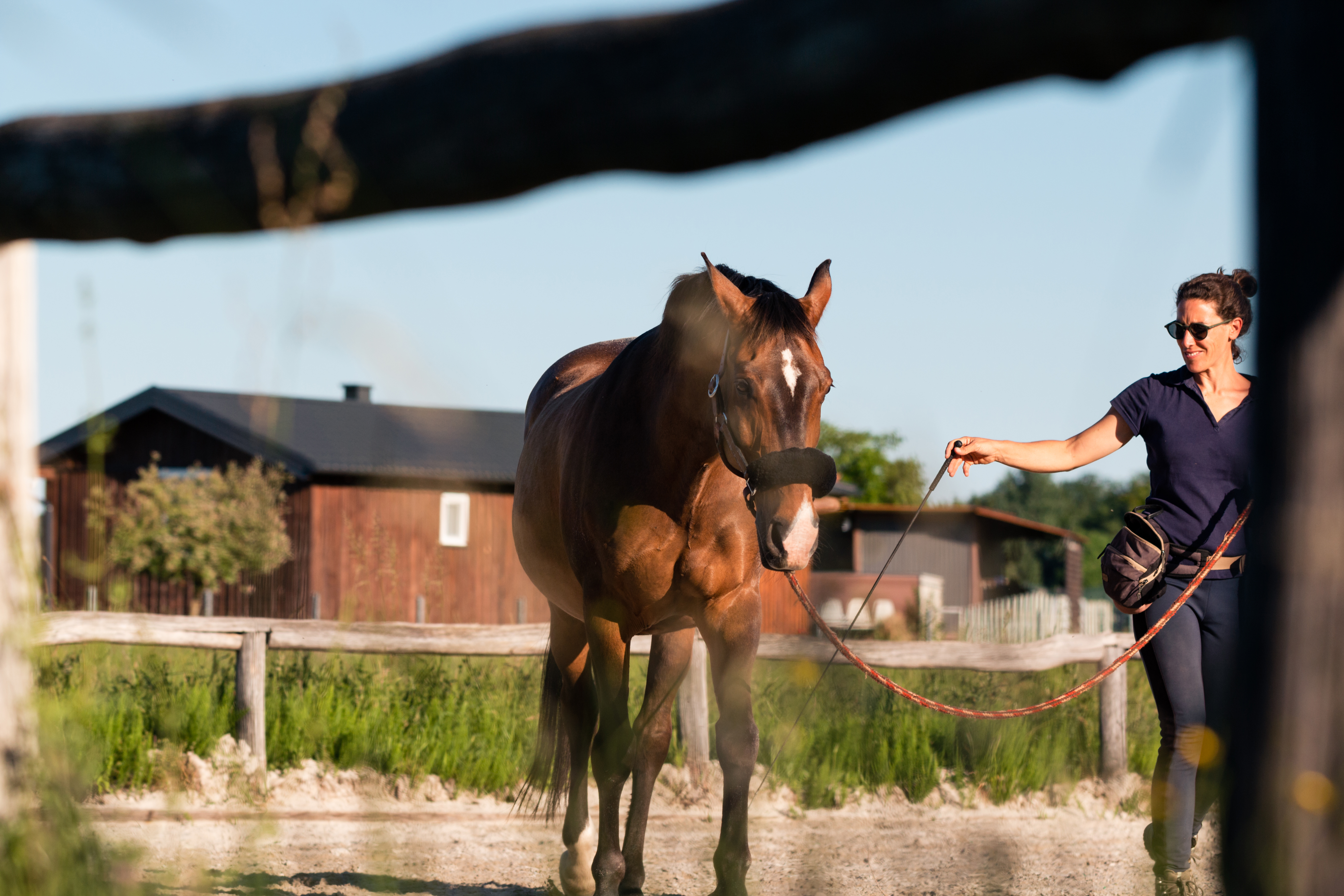 The Average Salary of a Thoroughbred Trainer | Sapling