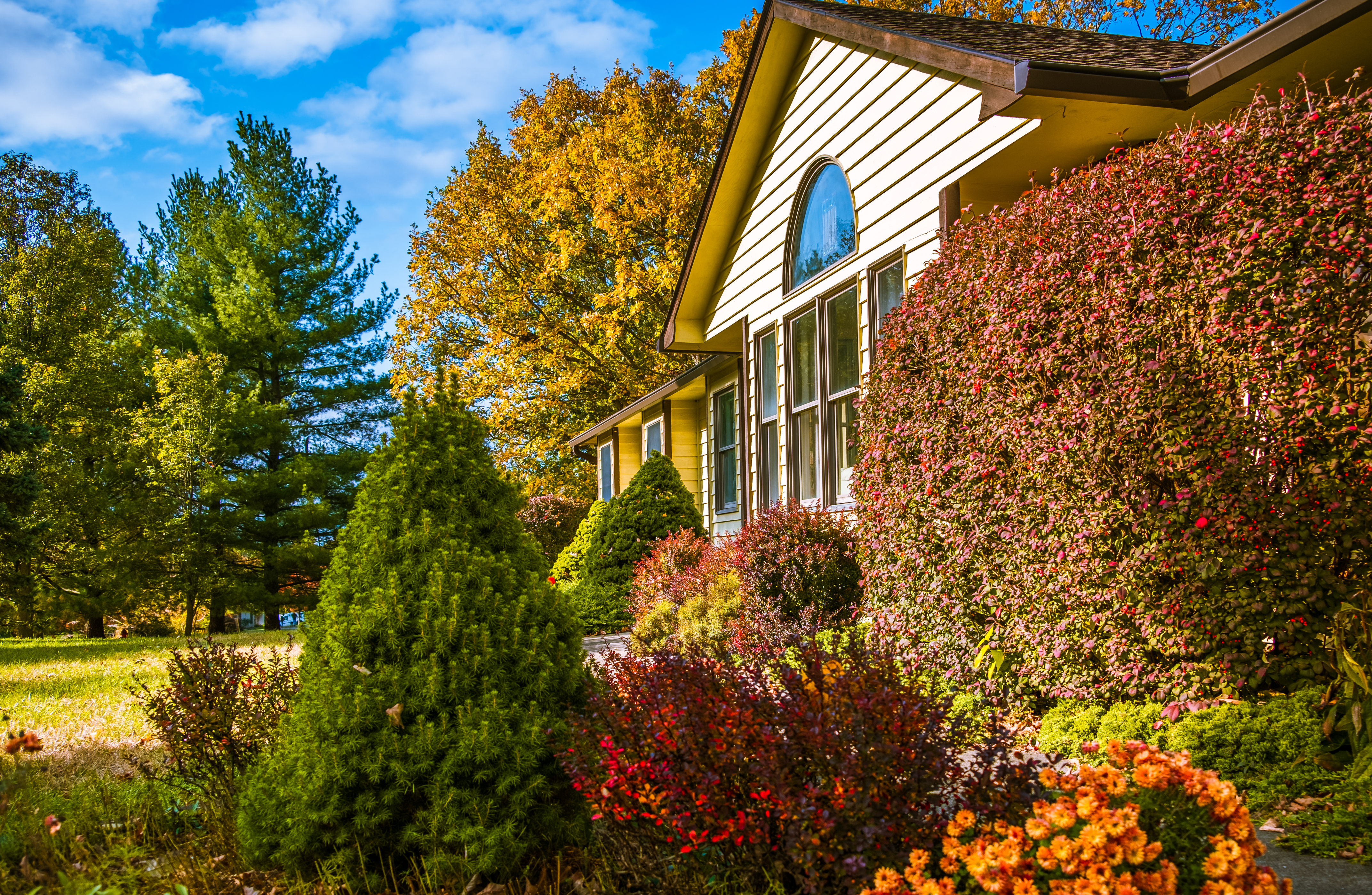 How to Probate an Estate With No Will in Texas