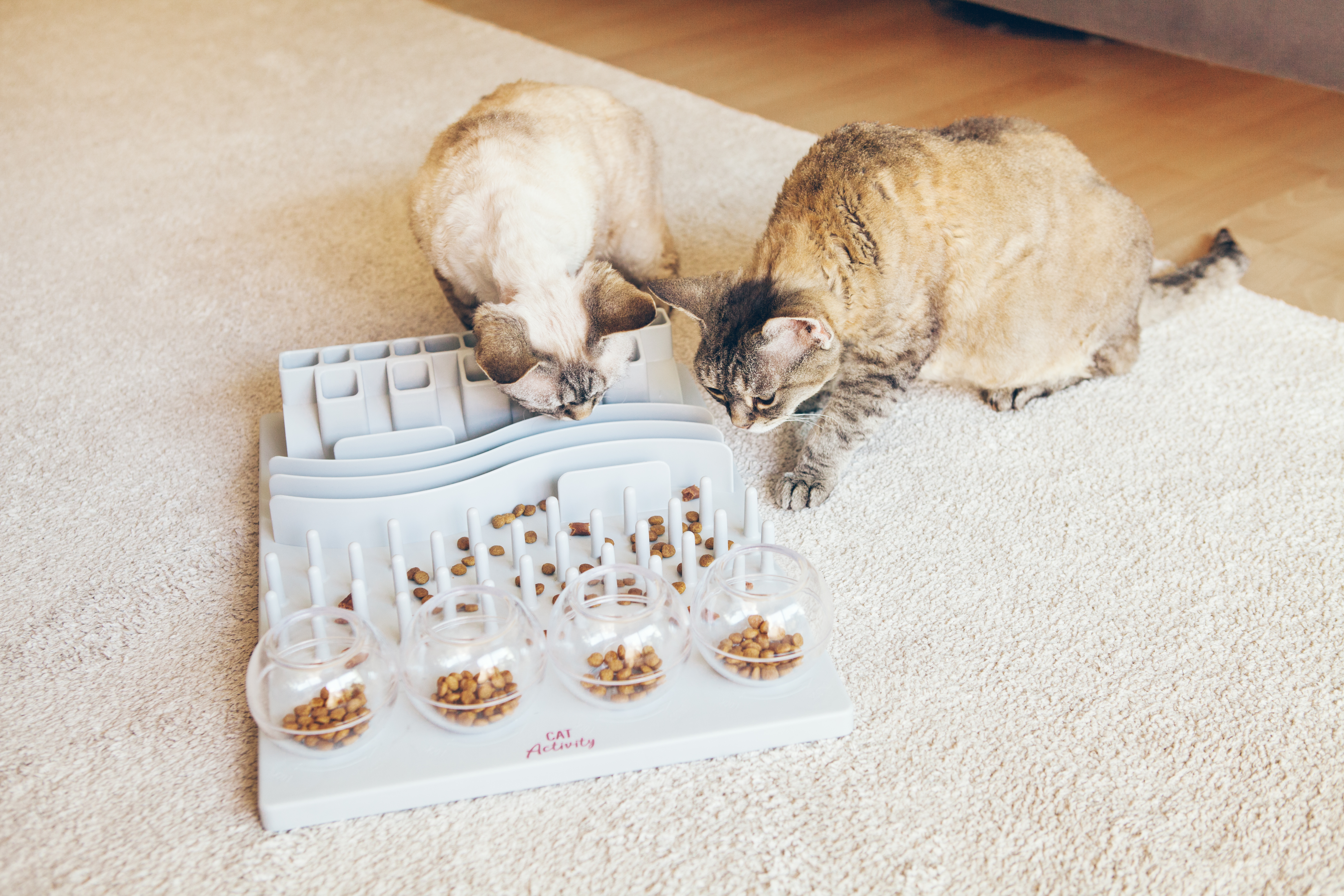 lickable mat for cats