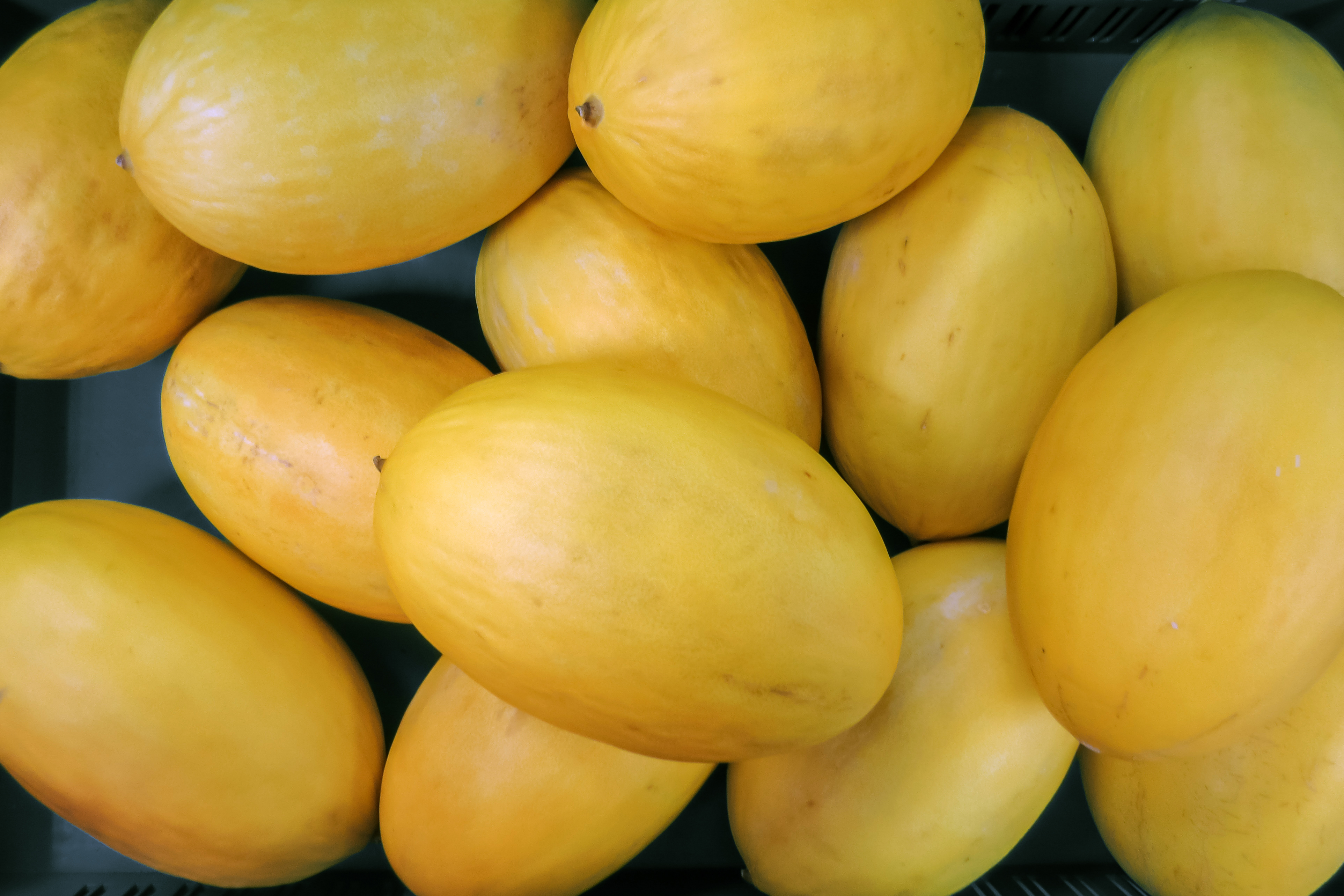 How to Tell If a Canary Melon is Ripe? 