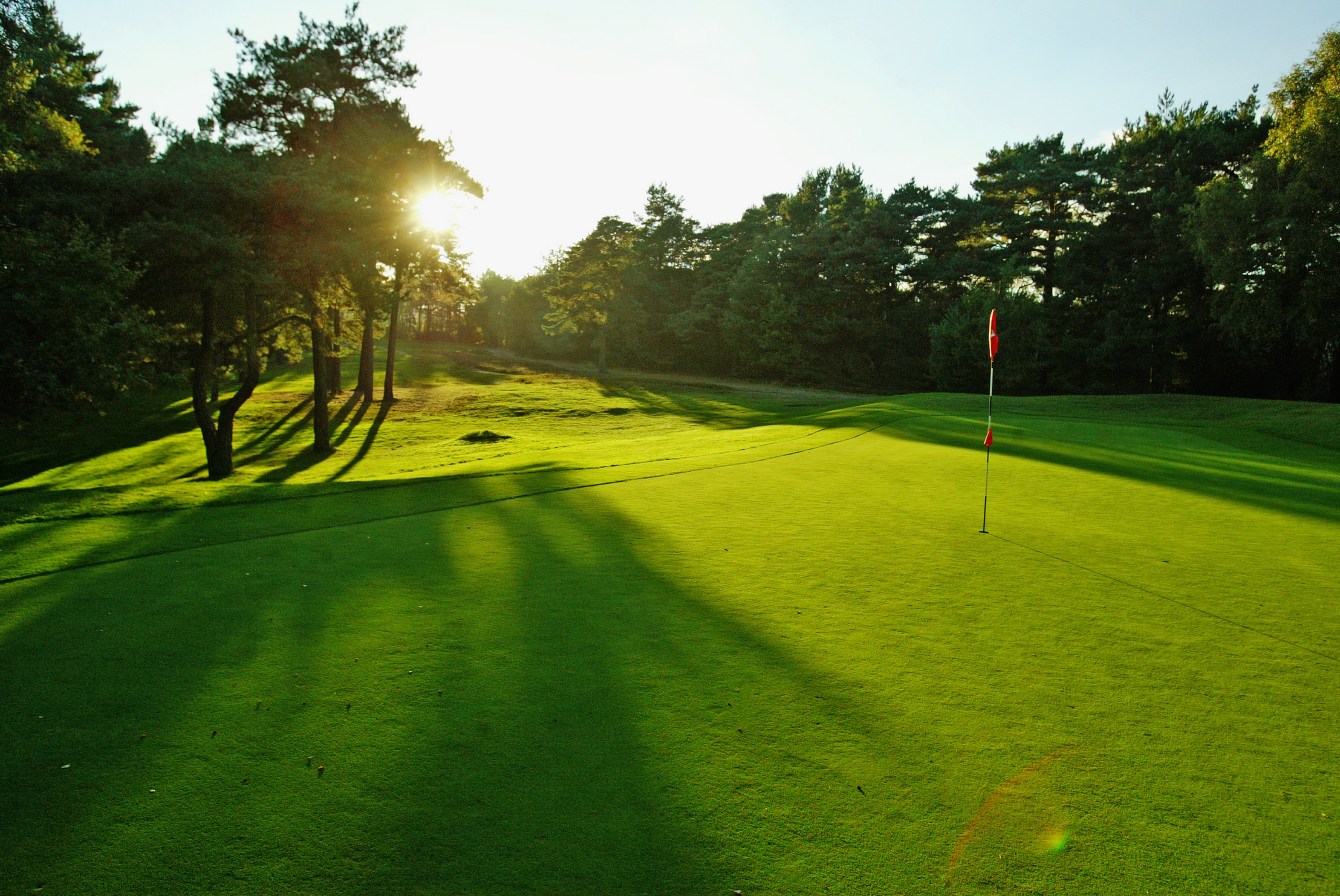 Different Kinds of Grass on Golf Courses - SportsRec