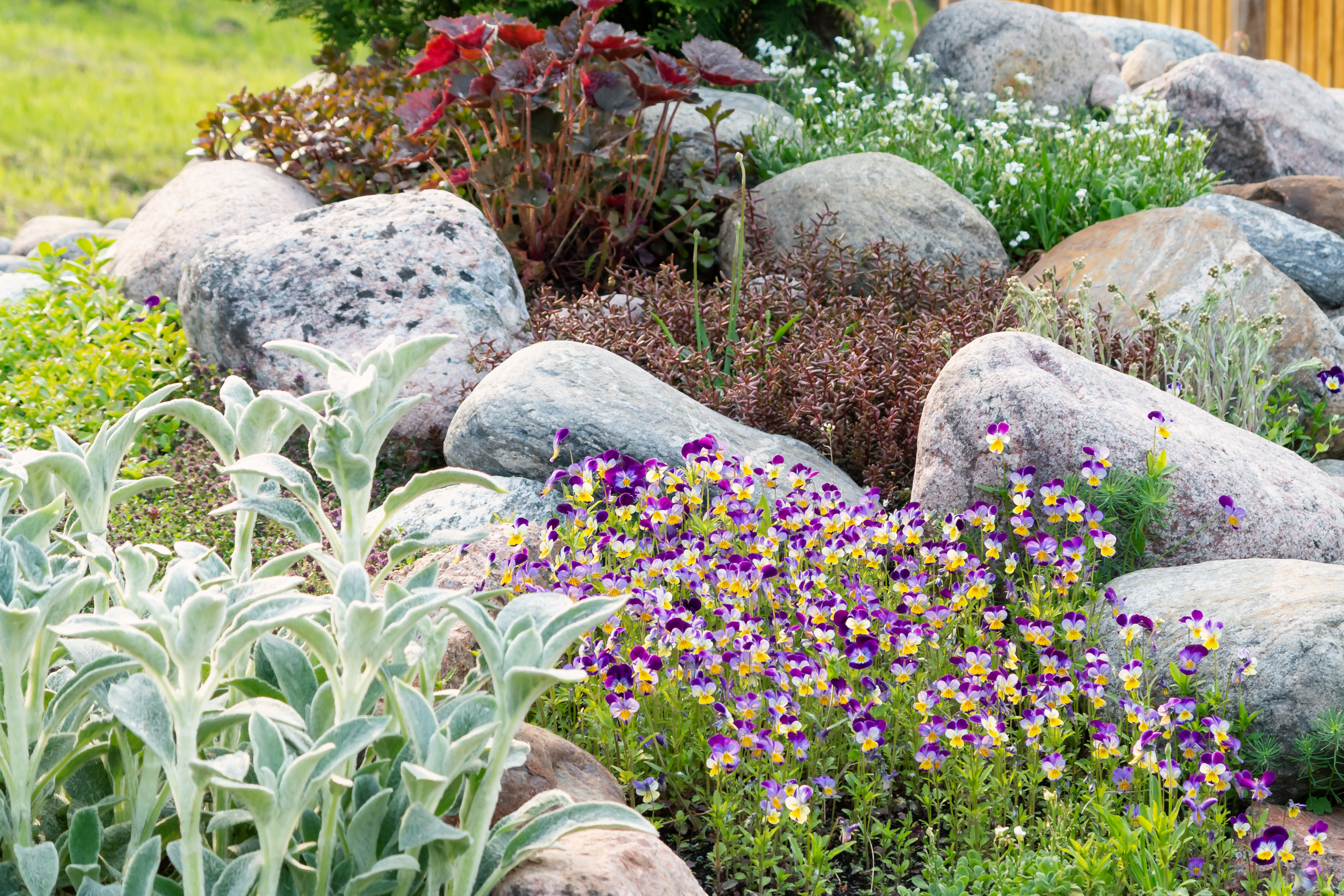 landscaping a slope on a budget