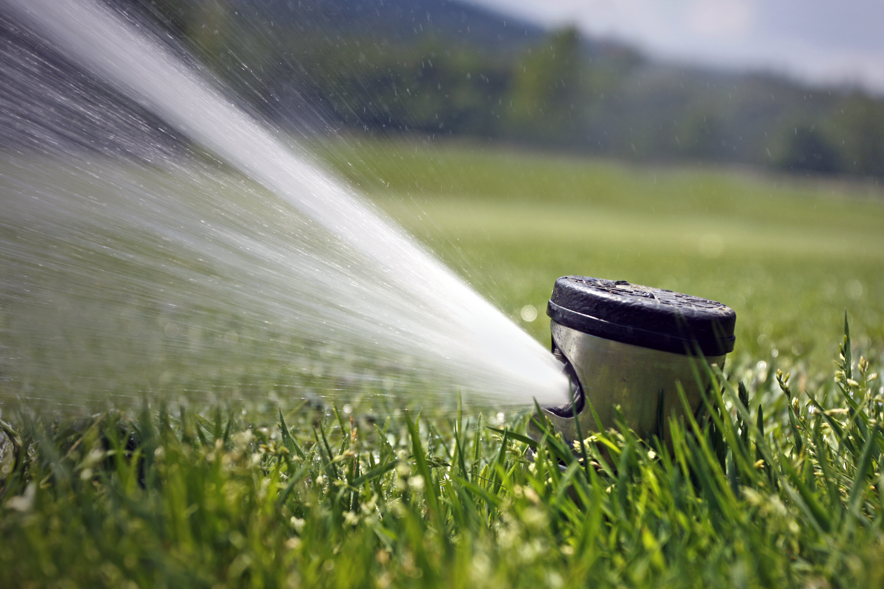 How To Replace A Broken Sprinkler Head A Diy Guide Hunker